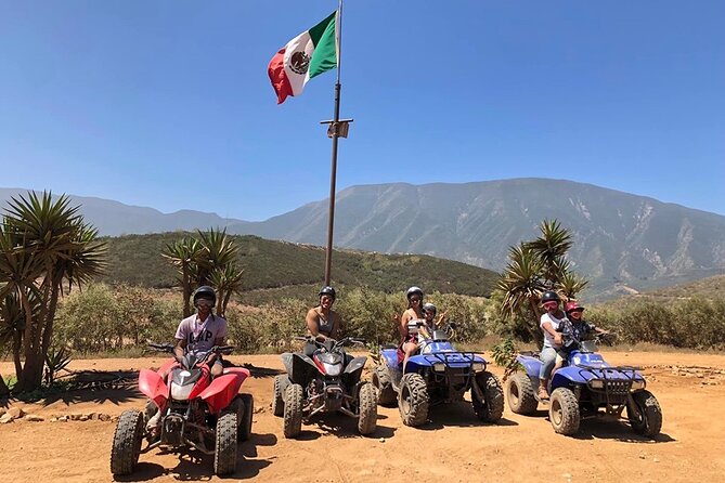 Enesenda Shore Excursion ATV Adventure with Tacos & wine tasting - Is $55 a Good Value?