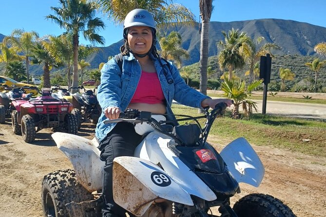 Enesenda Shore Excursion ATV Adventure with Tacos & wine tasting - The Coastal Views Near La Bufadora