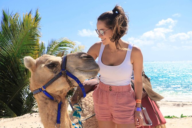 ENJOY UNIQUE CAMEL RIDE in Puerto Morelos with Transportation - The beach stop and professional photos