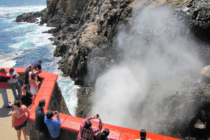 Ensenada Shore Excursion: Blowhole and La Bufadora Tour with Horseback Riding - What the guides add, and where service can fall short