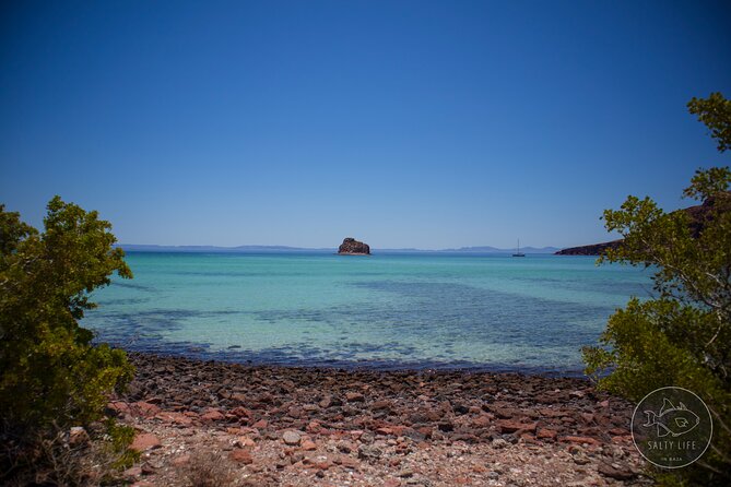 Espiritu Santo Island and sea lions - Beach time, lunch, and a slower stretch of the day
