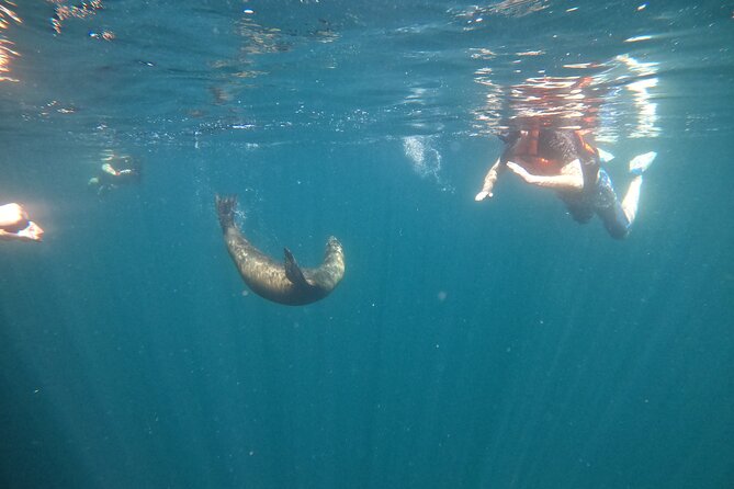 Espiritu Santo Island and sea lions - Guides, captains, and the quality of the day