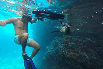 Espiritu Santo Island Snorkel & Sea Lion Adventure