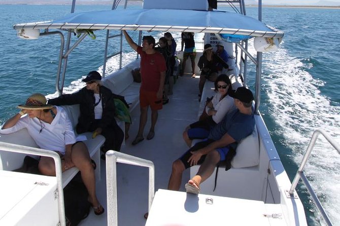 Espiritu Santo Island Snorkel & Sea Lion Adventure - Is $145 a fair price?