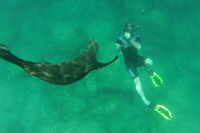 Espiritu Santo Island Snorkel & Sea Lion Adventure - Who should book this experience?