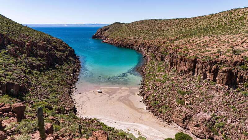 Espiritu Santo Island: Snorkeling Sea Lion Adventure - Who should book this small-group trip