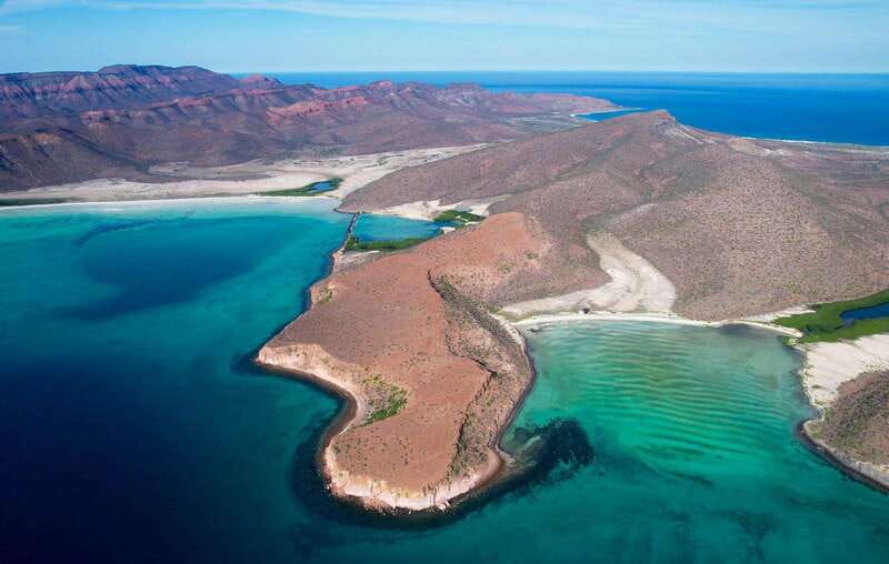 Espiritu Santo Island: Snorkeling Sea Lion Adventure - Swimming with the sea lions at Los Islotes