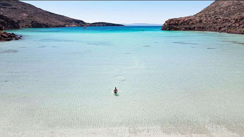 Espiritu Santo Island: Snorkeling Sea Lion Adventure - Reef fish, turtles, rays, and seabirds