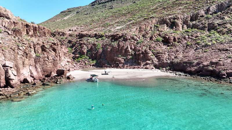 Espiritu Santo Island: Snorkeling Sea Lion Adventure - Ceviche on an island beach