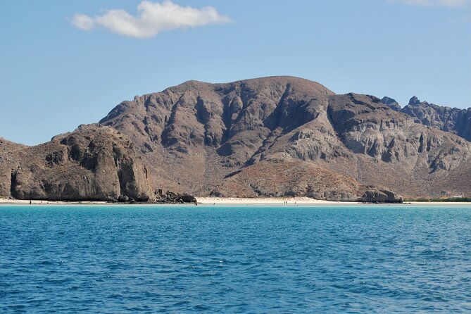 Espiritu Santo Island Tour - Beach time, ceviche, and the quiet middle of the day