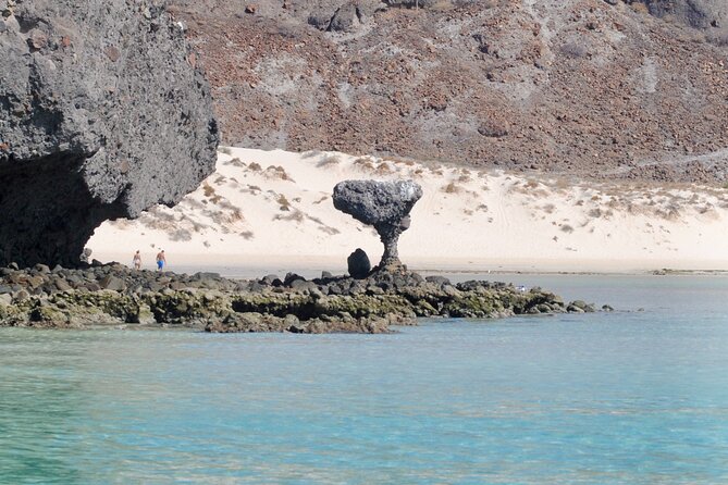 Espiritu Santo Island Tour - What to pack for the seven-hour outing