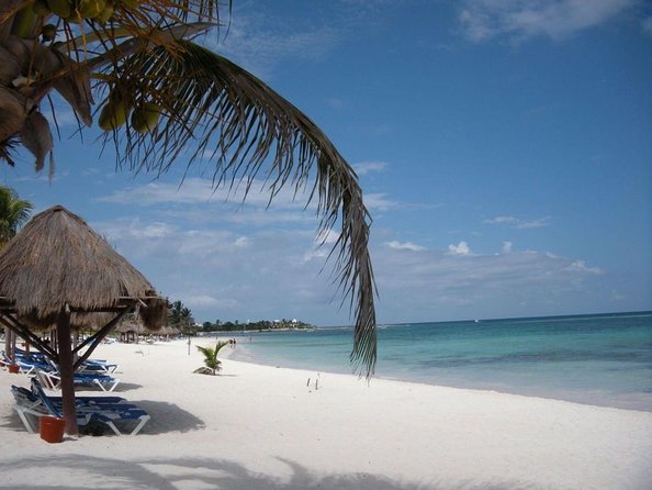 Exotik half a day tour: Cenote Cave and Swimming with Sea Turtles - Key points to know before booking