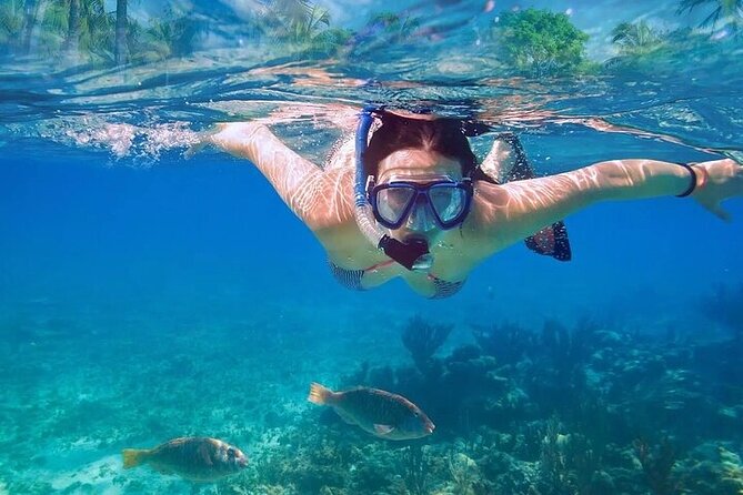 Exotik half a day tour: Cenote Cave and Swimming with Sea Turtles - Guides, safety, and the small-group advantage