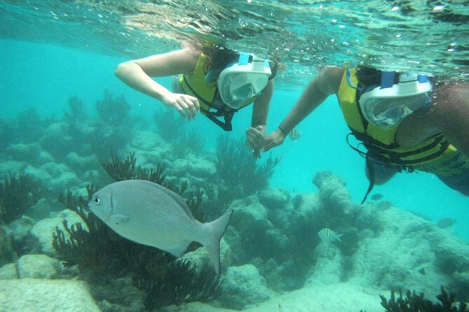 Exotik half a day tour: Cenote Cave and Swimming with Sea Turtles - What is included, and what will cost extra