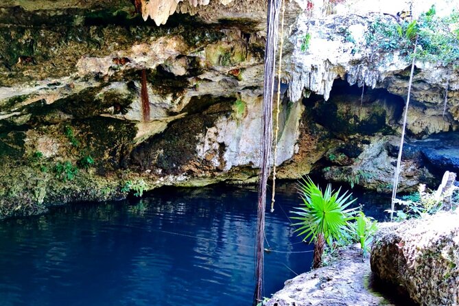 Experience Cancun's Hidden Gems, Mayan museum, cenote & Market 23 - Private transport and the value of the price