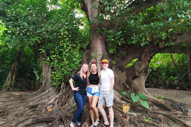 Experience Cancun's Hidden Gems, Mayan museum, cenote & Market 23 - Should you book it?
