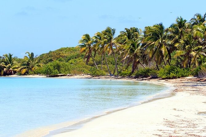 Explore Contoy Island - A two-island day from Cancun