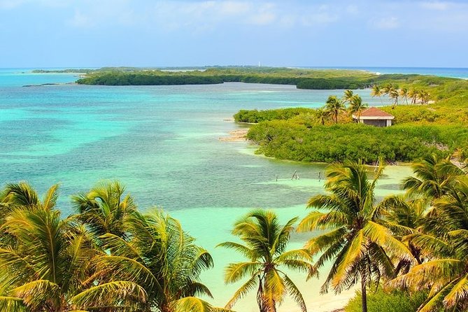 Explore Contoy Island - Isla Mujeres may be a brief second island