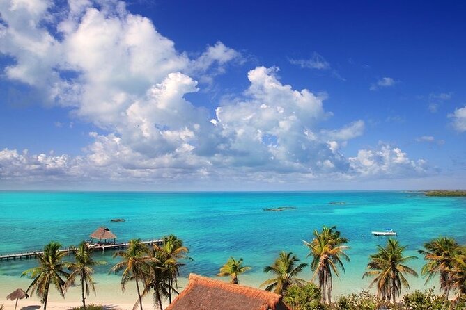 Explore Contoy Island - Lunch on the beach keeps the day simple