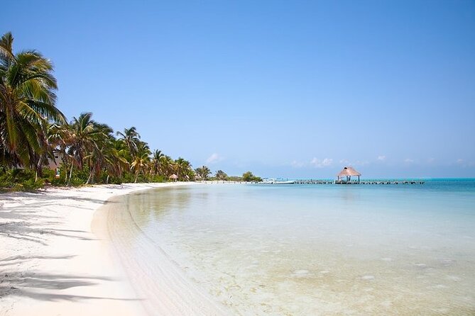 Explore Contoy Island - Isla Contoy offers the quieter island experience