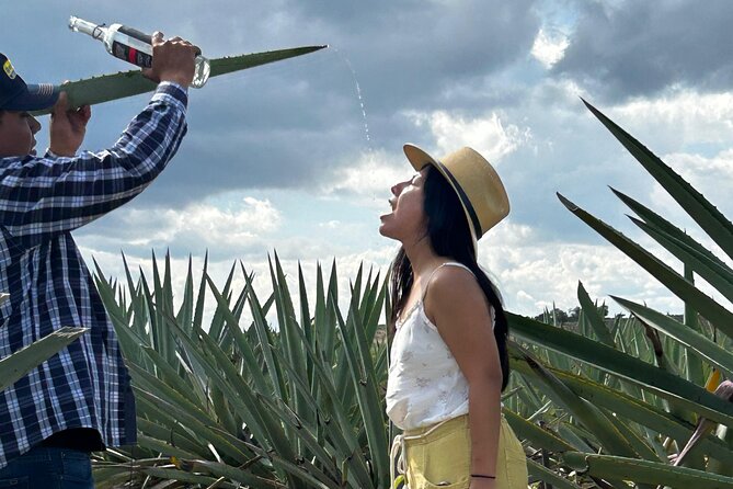 Explore Hierve el Agua, Mitla, Tule, Textile and Mezcal for a day - What the $75.12 price really covers