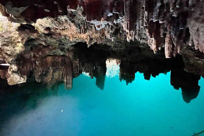 Family ATV Cenote Five Zip Lines Photos Taco Lunch Tequila Taste - Who will enjoy this best