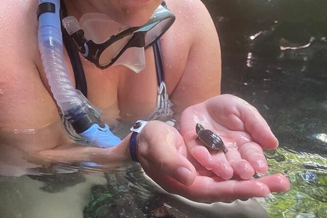 Five Cenotes Jungle Experience in the Riviera Maya - Five stops, five chances to slow down