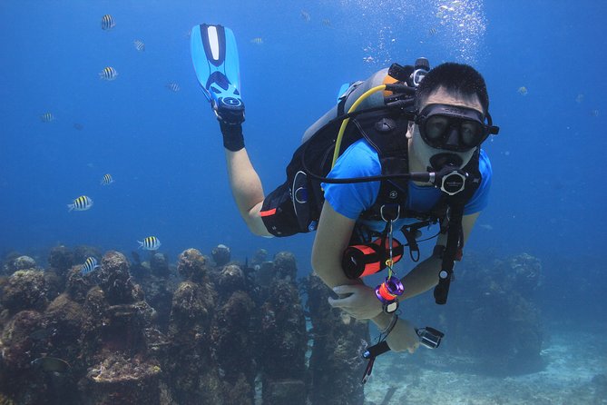For certified Divers Experience the Under Water Museum and the Manchones Reef - The value of a PADI instructor and four-person limit