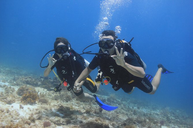 For certified Divers Experience the Under Water Museum and the Manchones Reef - Who should book this outing