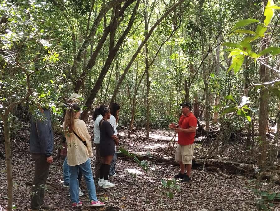 From Bacalar: Calakmul Ruins Expedition & Jungle Trek - Who should book this Calakmul day trip