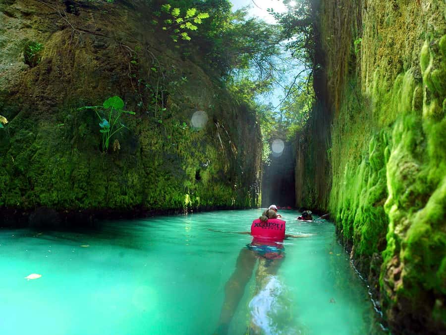 From Cancun: Complete Combo to Xcaret Park! - Wildlife areas that suit a slower pace