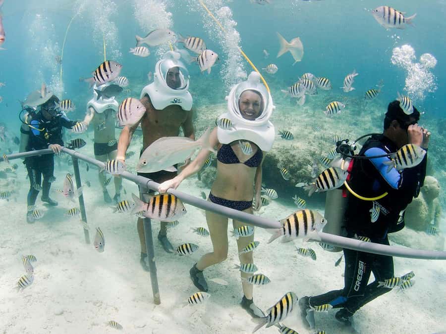 From Cancun: Complete Combo to Xcaret Park! - Practical details before you reserve