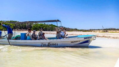 Rio Lagartos & Las Coloradas Day Trip & Lunch
