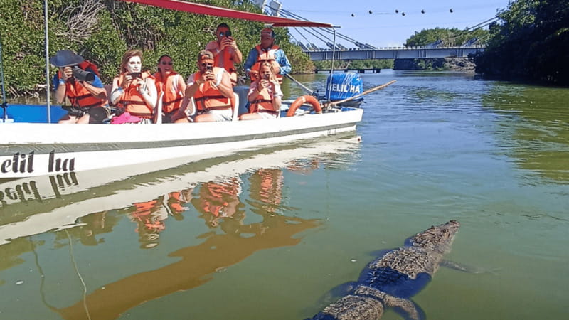 From Cancún: Rio Lagartos & Las Coloradas Day Trip & Lunch - Lunch in a local restaurant