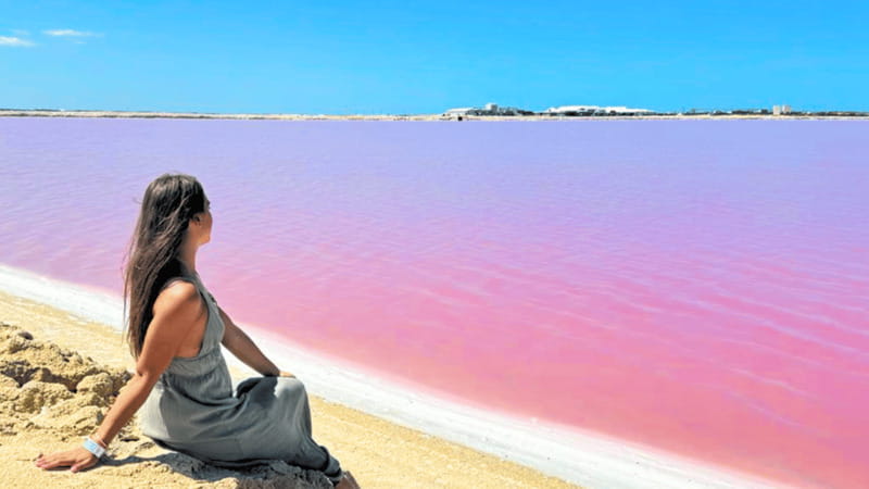 From Cancún: Rio Lagartos & Las Coloradas Day Trip & Lunch - Should you book the Río Lagartos and Las Coloradas trip?