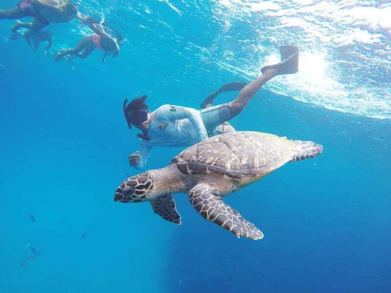 From Cozumel: 3 Reefs Boat Tour with Drinks and Snorkeling - Three Cozumel sites, three different ways to see the sea