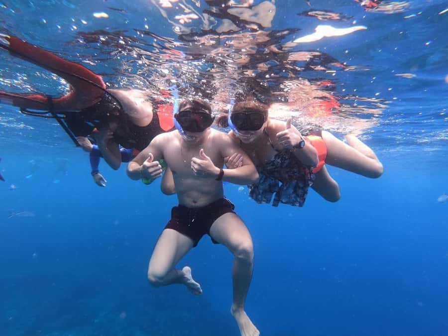 From Cozumel: Starfish, Stingrays and the Turtle Sanctuary - Turtle Bay and the search for larger animals