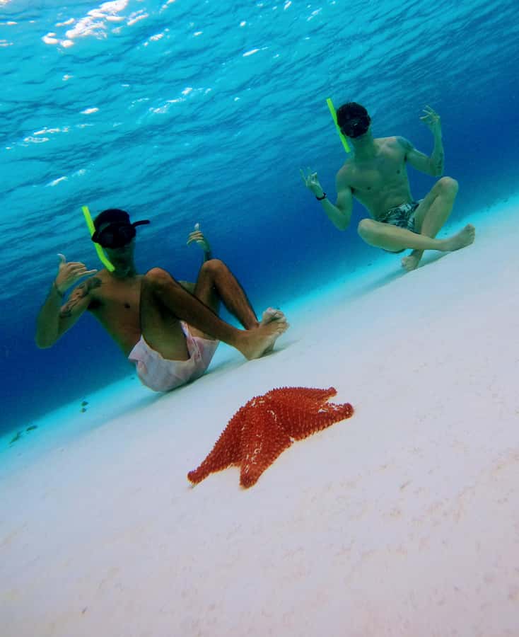 From Cozumel: Starfish, Stingrays and the Turtle Sanctuary - What to bring for comfort and safety