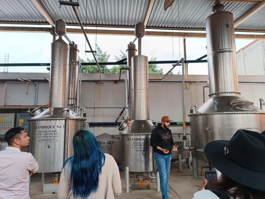 From Guadalajara: Tequila Town and Cantaritos El Guero - Comfort, timing, and what to bring