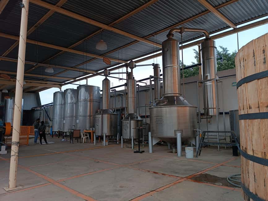 From Guadalajara: Tequila Town and Cantaritos El Guero - Tequila town, color, and a quick look around