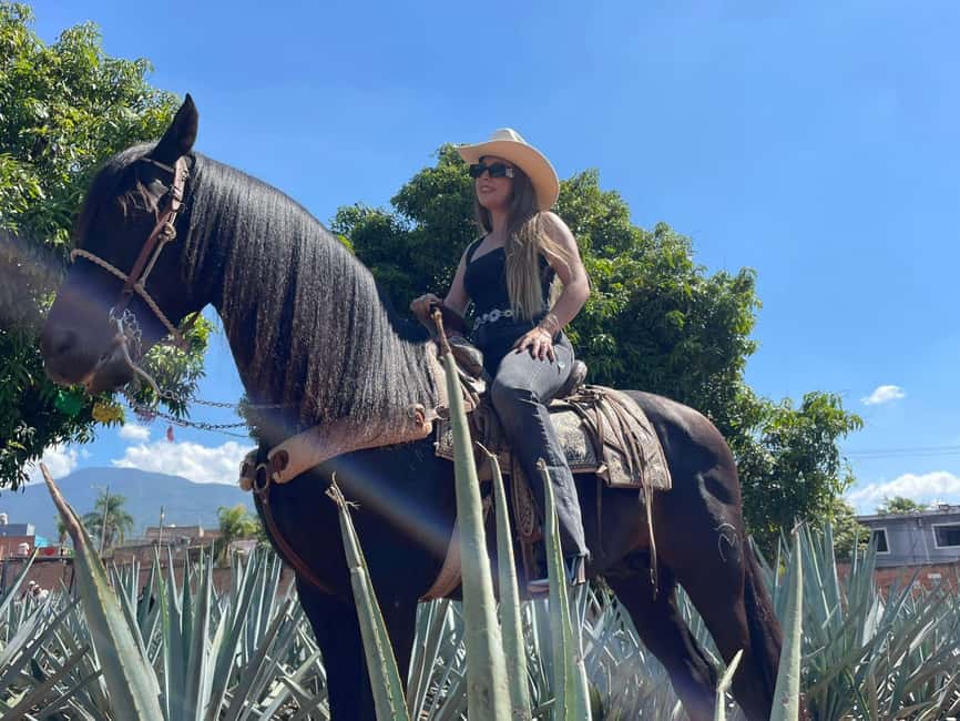 From Guadalajara: Tequila Town and Cantaritos El Guero - Pickup from Guadalajara and the ride west