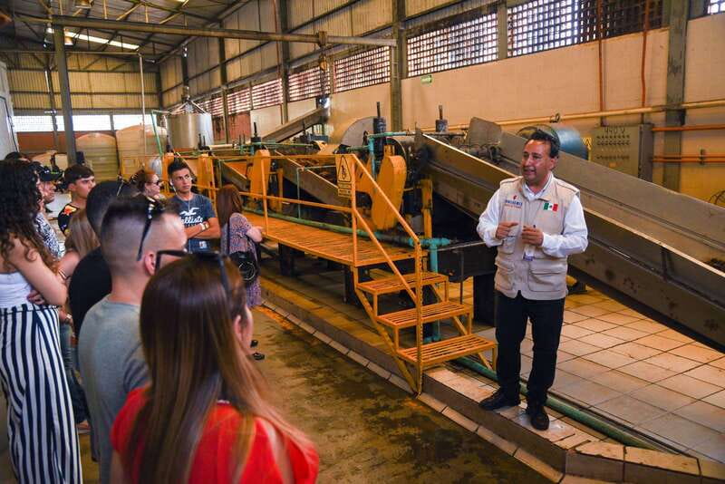 From Guadalajara: Tequila Trail Tour with Tasting - What makes this Tequila day trip worthwhile