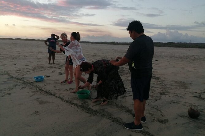 From Huatulco: Turtle Release & Bioluminescence - Manialtepec’s glowing water after dark