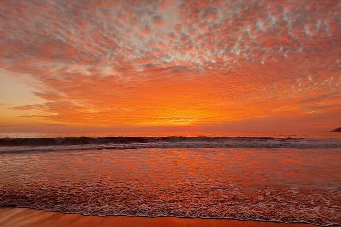 From Huatulco: Turtle Release & Bioluminescence - The drive from Huatulco is the real price of the day