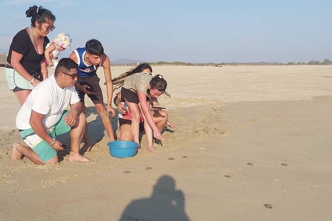 From Huatulco: Turtle Release & Bioluminescence - Guides, language, and the feel of the journey
