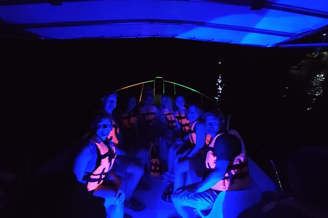 From Huatulco: Turtle Release & Bioluminescence - Who should book this experience