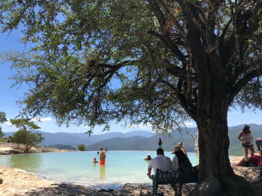 From Oaxaca de Juarez: Hierve el Agua and Mezcal Distillery - Three hours for walking, swimming, and lunch