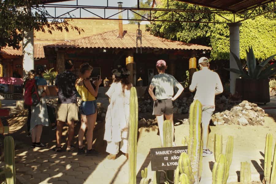 From Oaxaca de Juarez: Hierve el Agua and Mezcal Distillery - The walk is beautiful, but not effortless