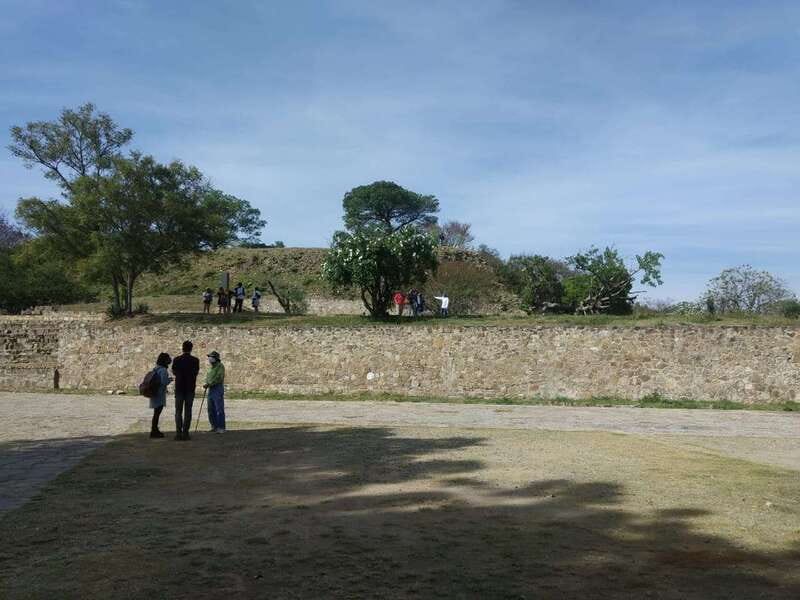 From Oaxaca: Monte Alban, Alebrijes & Black Clay Day Trip - Guide quality and language expectations