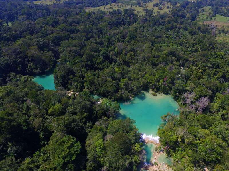 From Palenque: Palenque Ruins and waterfalls Roberto Barrios - Practical ways to make the day better